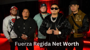 Fuerza Regida Net Worth